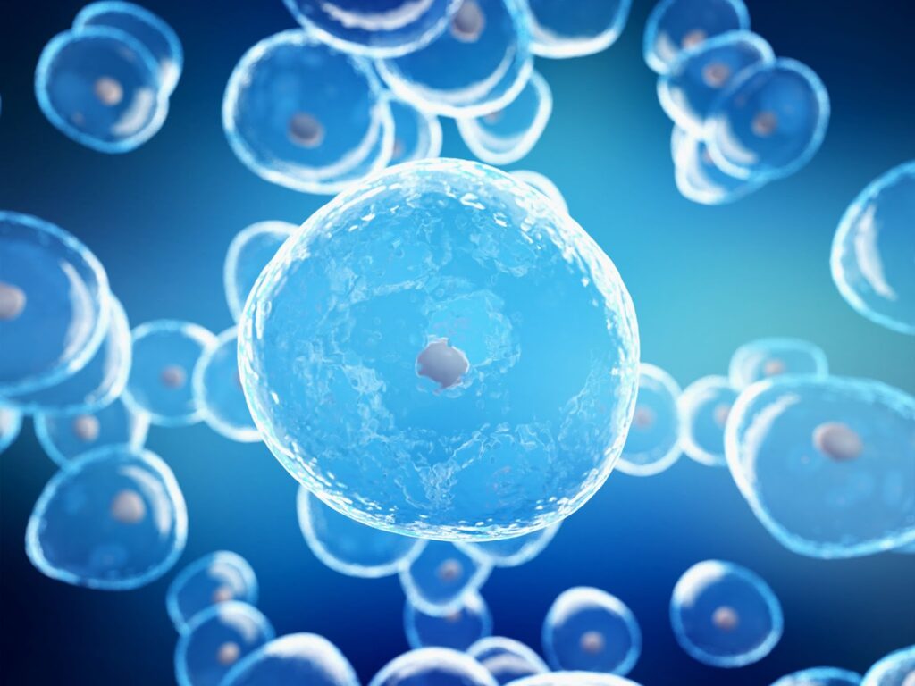Healthy human tissue cells.